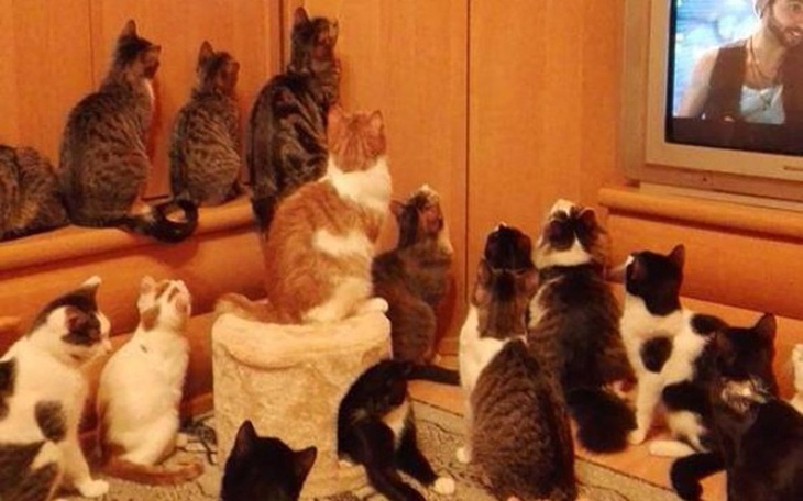 Zbiórka Podopieczni  R.Bryszewskiej - zdjęcie główne