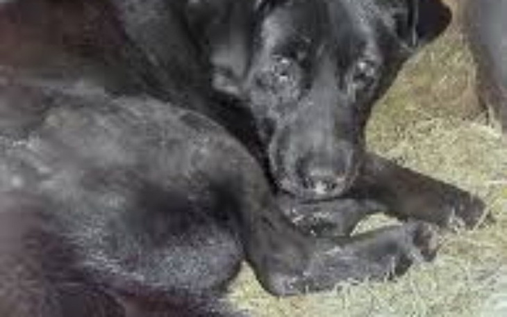 Zbiórka Walka z przeszłością - zdjęcie główne