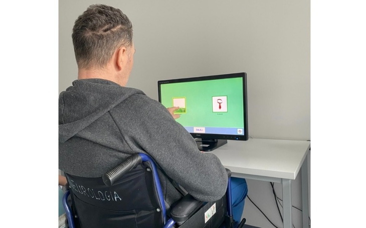 Pies na spacerze po kamienistej drodze.