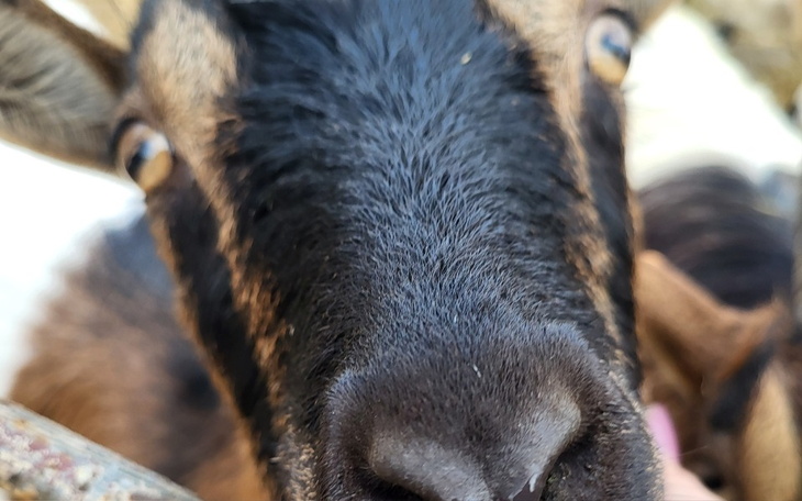 Zbiórka Na stworzenie fundacji w kuj-pom - zdjęcie główne