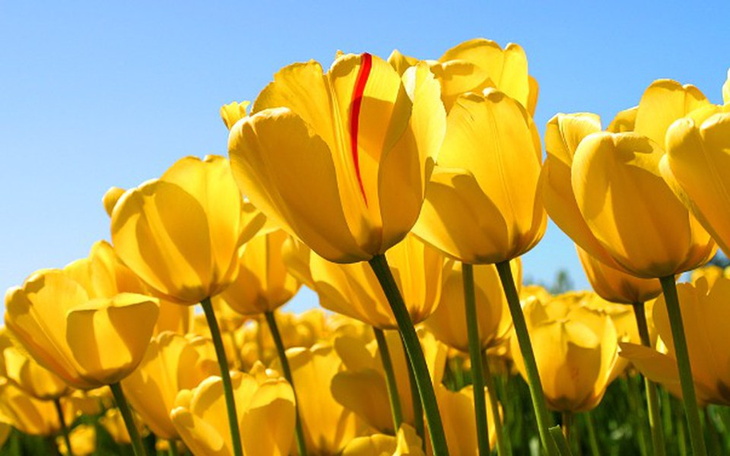 Zbiórka Spłacić pożyczkę, pomożesz? - zdjęcie główne