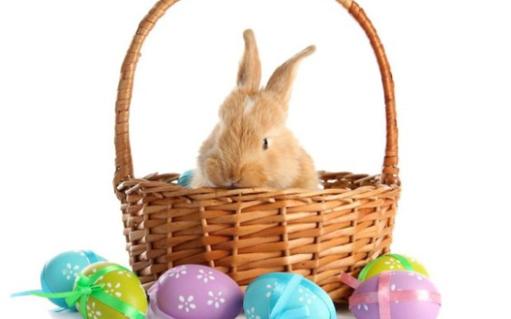 Zbiórka Na zajaczka dla dzieci - zdjęcie główne