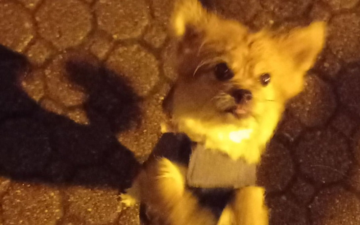 Zbiórka Na nowe żżycie - zdjęcie główne