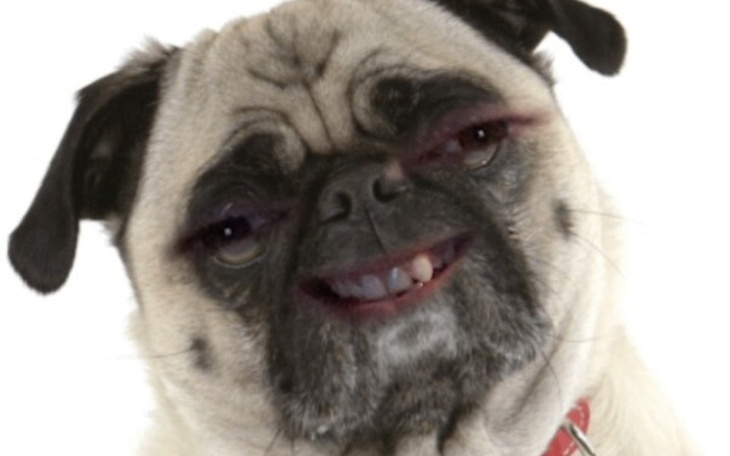 Zbiórka Na idealny nos - zdjęcie główne