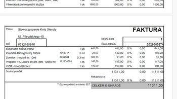 Zbiórka Pożegnanie Simby - miniaturka zdjęcia