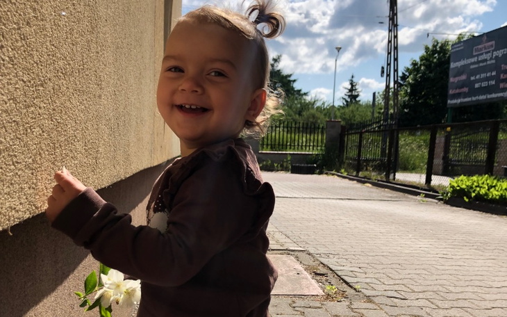 Zbiórka Drewniany domek ze zjeżdżalnią - zdjęcie główne