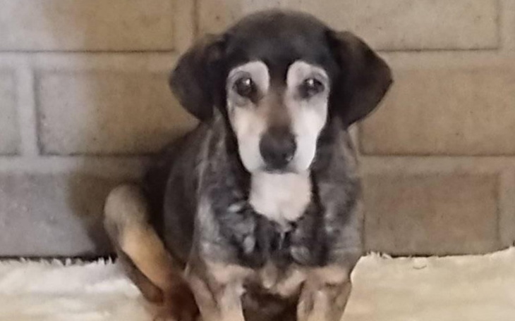 Zbiórka Babunia jedzie do domu - zdjęcie główne