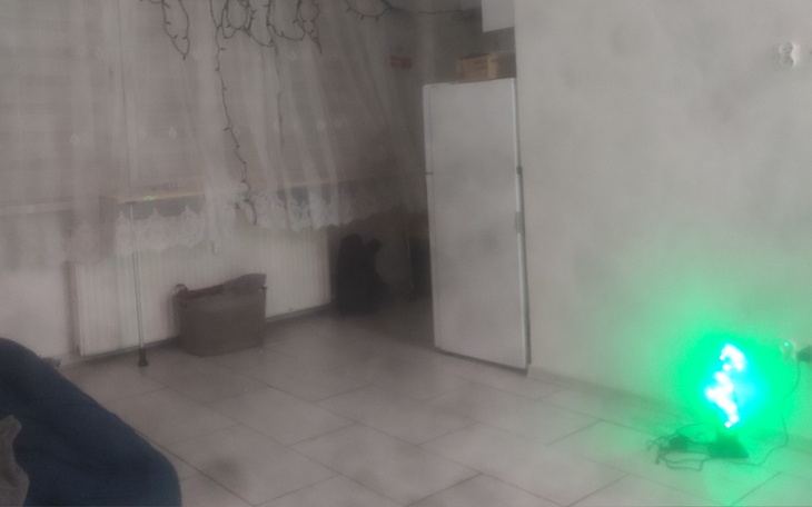 Zamglone wnętrze z kotem w tle i zielonym światłem.