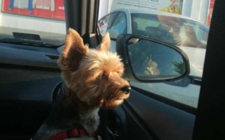 Zbiórka Hot16challenge - zdjęcie główne