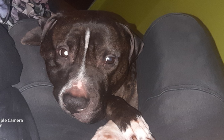 Zbiórka Na wspólne mieszkanie/remoncik - zdjęcie główne