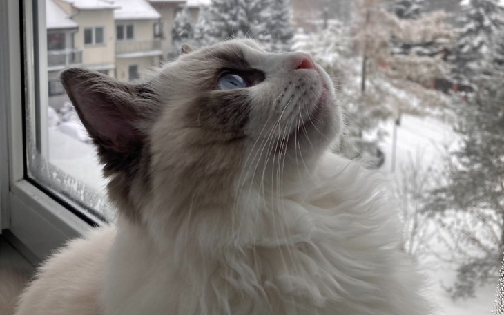 Zbiórka Pokonajmy zapalenie otrzewnej - zdjęcie główne