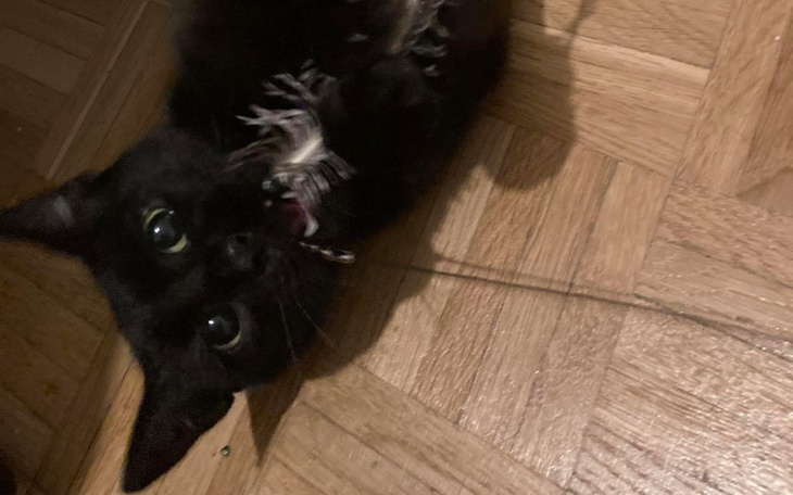 Zbiórka Jagunia walczy o życie i zdrowie - zdjęcie główne