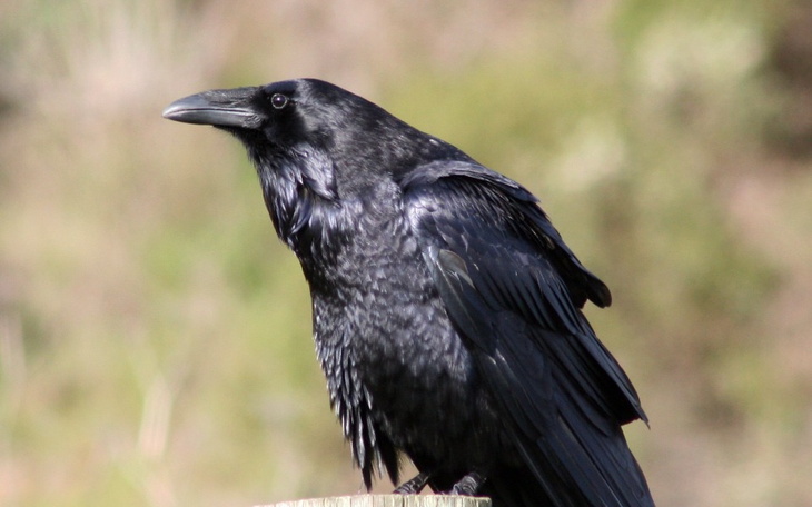 Zbiórka Moja odwieczna wielka pasja - zdjęcie główne