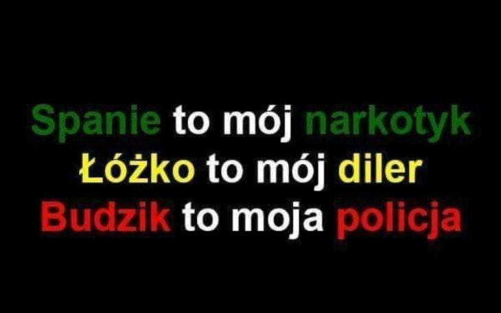 Zbiórka Olaf Sobotnicka - zdjęcie główne