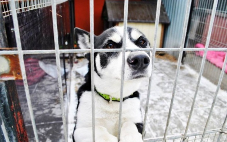 Zbiórka Złotówkobranie na ogrzewanie ! - zdjęcie główne