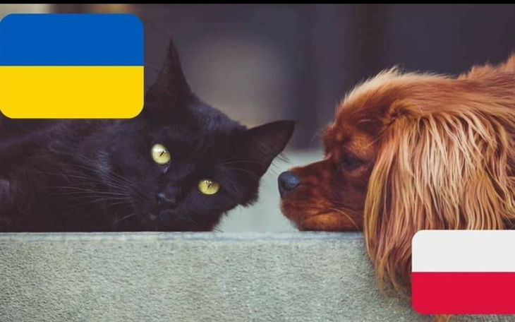 Zbiórka Jedziemy ratować na Ukrainę - zdjęcie główne