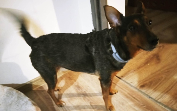 Zbiórka usunięcie listwy mlecznej - zdjęcie główne