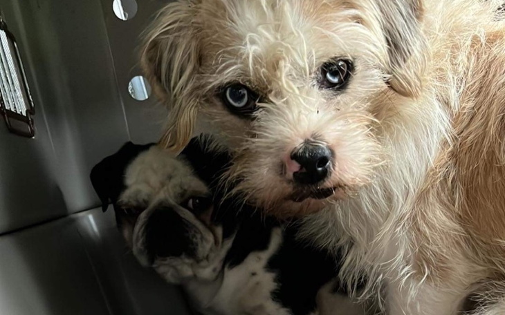 Zbiórka Diagnostyka-Fundacja - zdjęcie główne