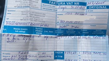 Zbiórka Faktura za lipiec - miniaturka zdjęcia