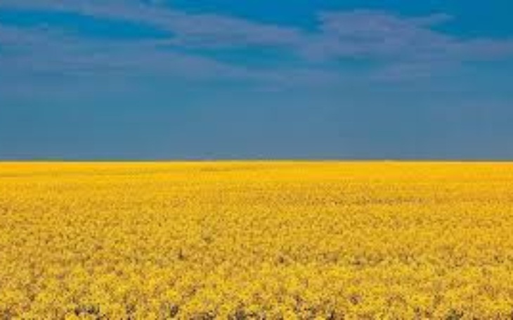 Zbiórka Zbiórka na bilet na Ukrainę - zdjęcie główne