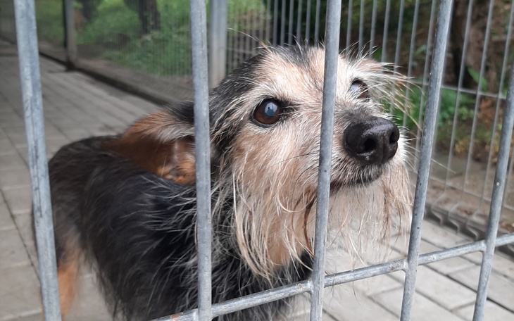 Zbiórka dla Anetki - zdjęcie główne