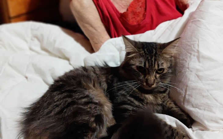 Zbiórka W czepku urodzona,więc niech si - zdjęcie główne