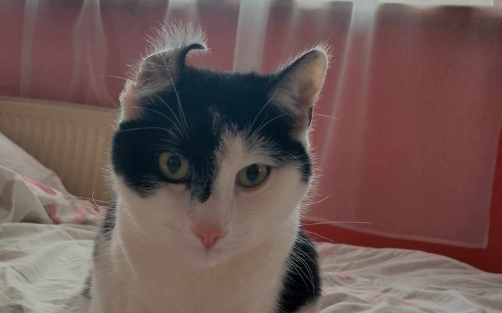 Zbiórka Życie znajdki Filemona - zdjęcie główne