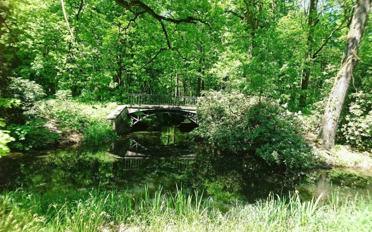 Zbiórka Rozwinięcie własnego minibiznesu - zdjęcie główne