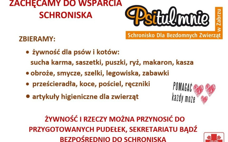 Zbiórka Zbieram na pieski z Zabrza - zdjęcie główne