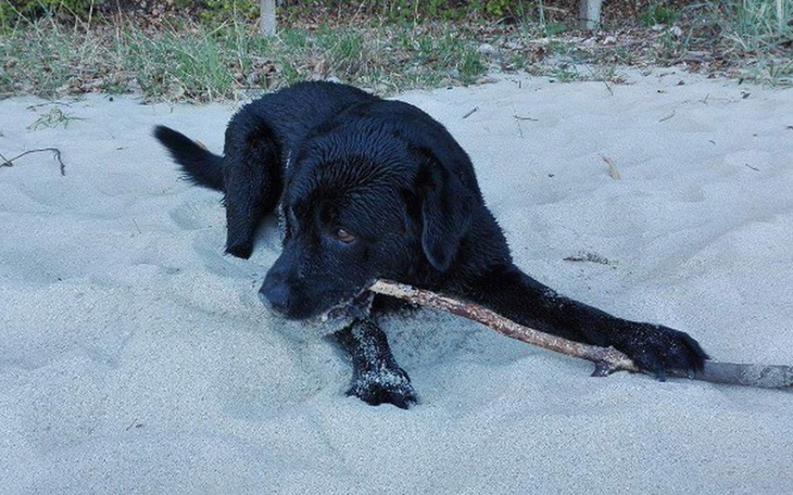 Zbiórka Na leczenie przyjaciela - zdjęcie główne