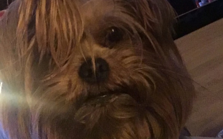 Zbiórka na zycie P - zdjęcie główne