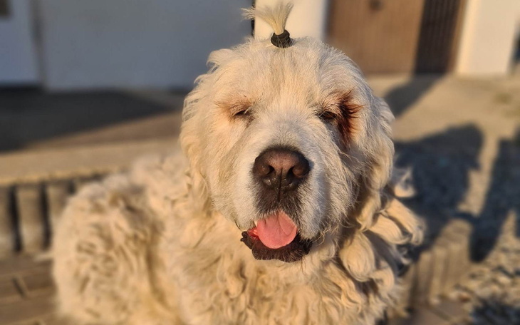 Zbiórka Chcę znów widzieć.. - zdjęcie główne