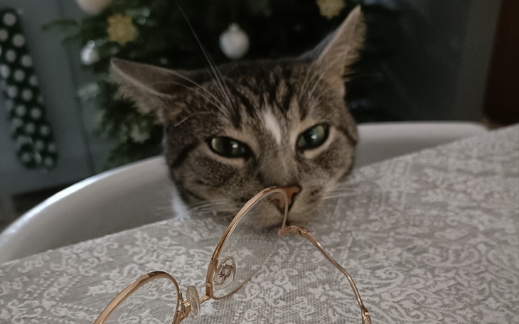 Zbiórka Klakier niszczy Gargamela - zdjęcie główne