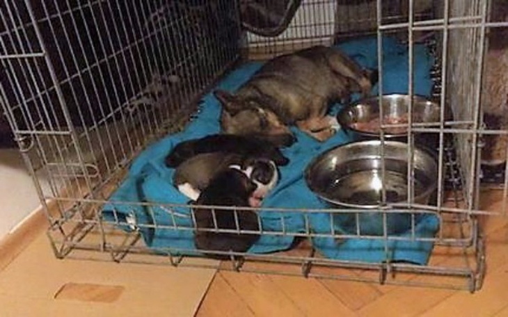 Zbiórka Sunia z Onkologii plus trzy :) - zdjęcie główne