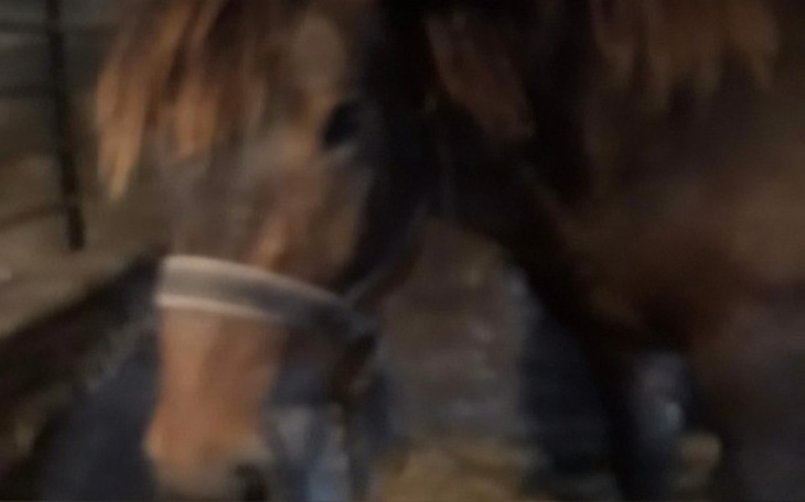 Zbiórka Nasze zycie sie konczy - zdjęcie główne