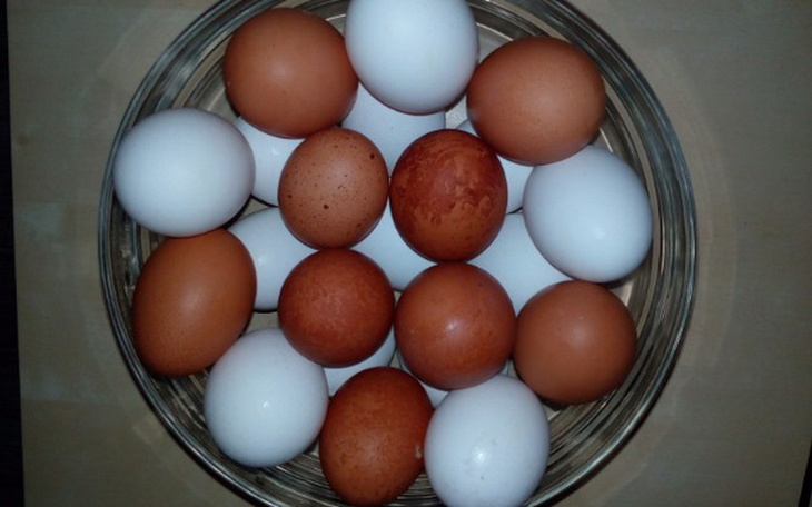 Zbiórka Zakup kurnika dla wiejskich kur - zdjęcie główne