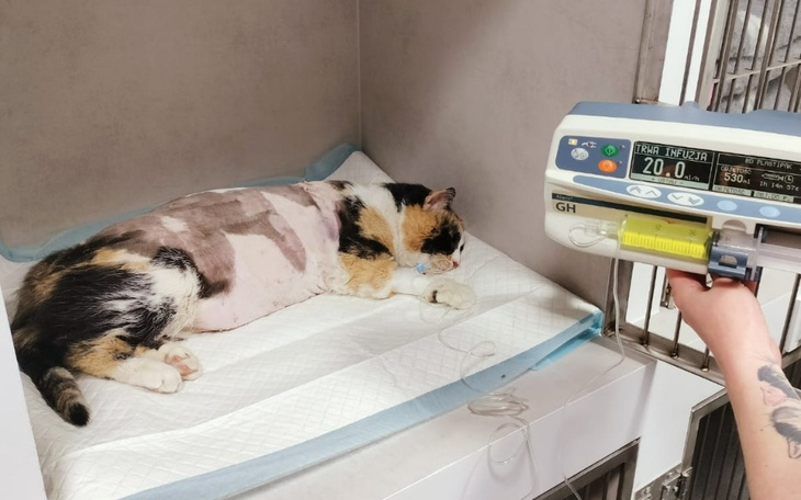 Zbiórka Jest źle, bardzo źle... - zdjęcie główne