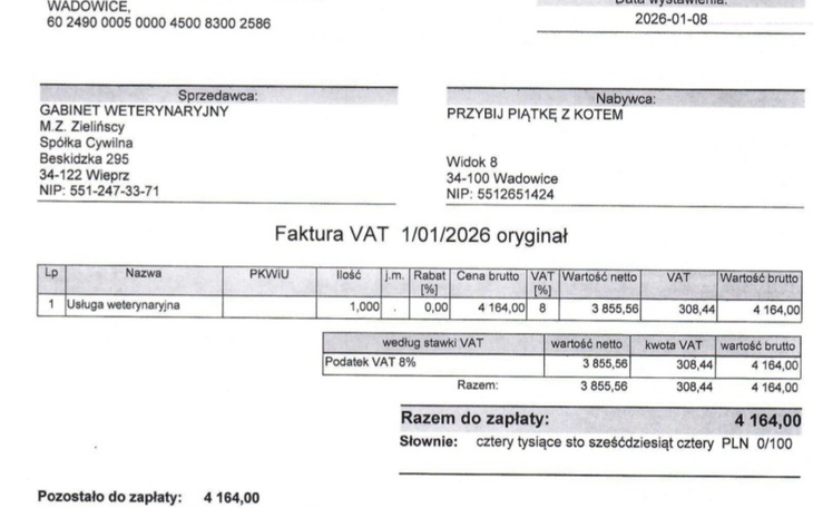 Faktura VAT z usługą weterynaryjną, szczegóły płatności.