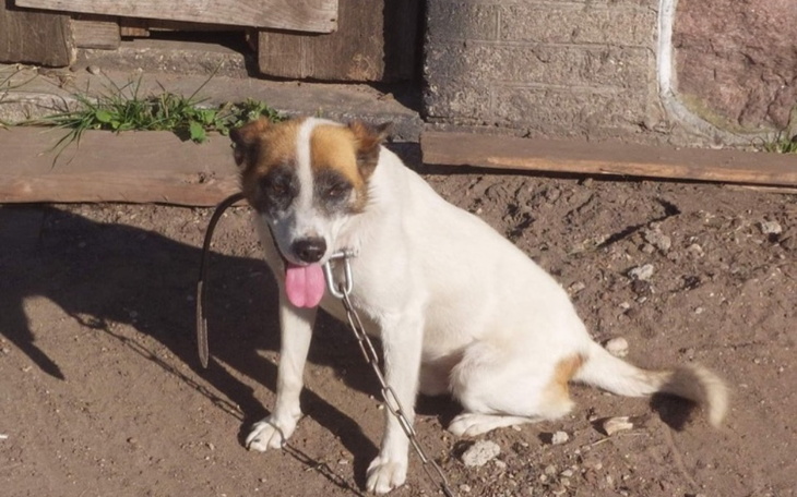 Zbiórka Zerwijmy łańcuch Łatka - zdjęcie główne