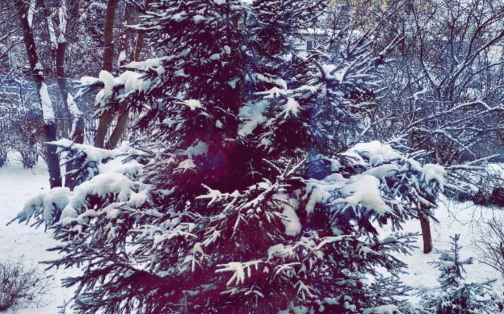 Zbiórka Proszę o pomoc dla dzieci.. - zdjęcie główne