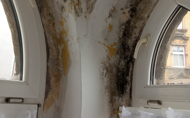 Zbiórka Na remont podłóg i zakup mebli - zdjęcie główne