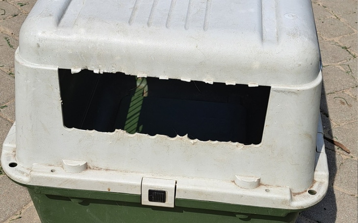 Zbiórka Transporter dla psów - zdjęcie główne