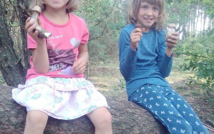 Zbiórka Dokończenie - zdjęcie główne