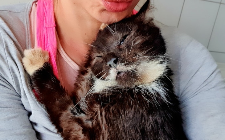 Zbiórka Minutka i inne koty Oli - zdjęcie główne