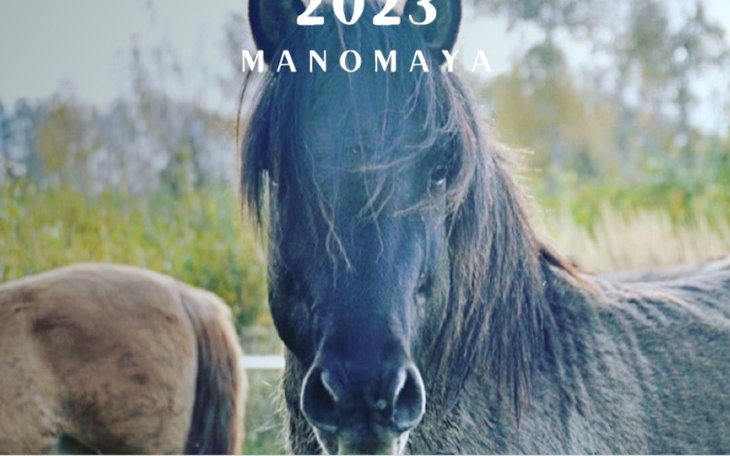 Zbiórka Siano dla Koni na zimę - zdjęcie główne