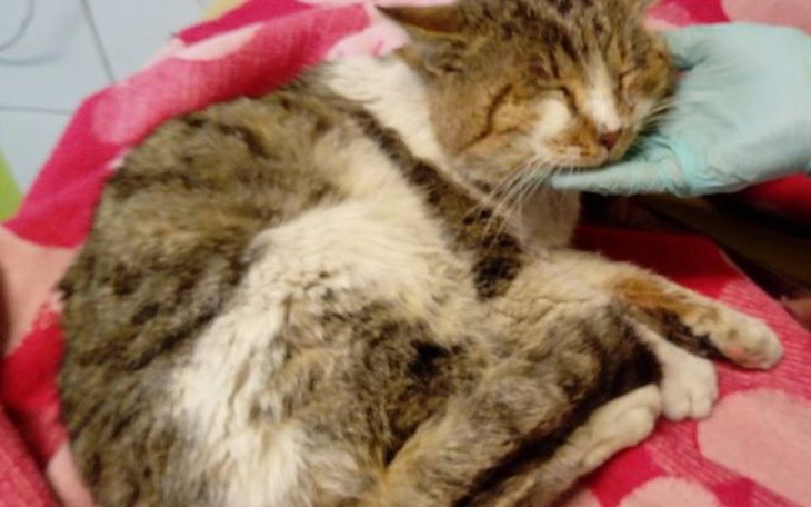 Zbiórka Ratujemy kalekiego Bogusia - zdjęcie główne