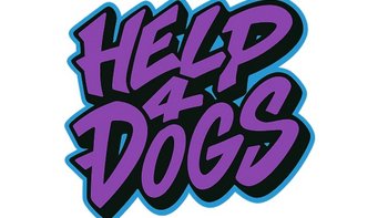 Zbiórka Cele statutowe Fundacji Help4Dog - miniaturka zdjęcia