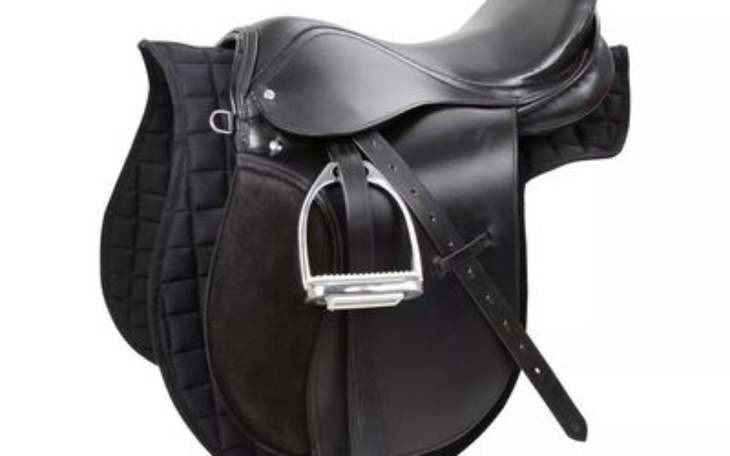 Zbiórka Na siodło dla koniaa - zdjęcie główne