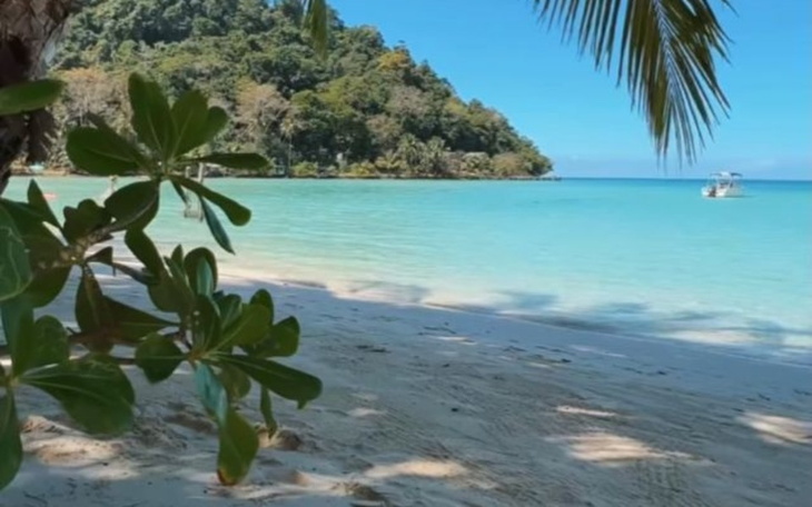 Zbiórka Wakacjii - zdjęcie główne