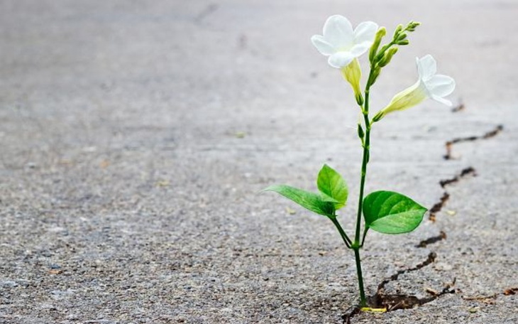 Zbiórka By rozpocząć nowe życie... - zdjęcie główne